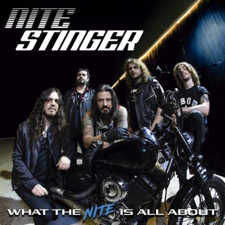 Nite Stinger: What The Nite Is All About [CD]