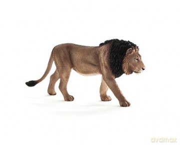 Samiec lwa ANIMAL PLANET