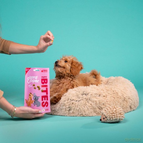Edgard Cooper - Treats Top Dog - Duck - 120 g