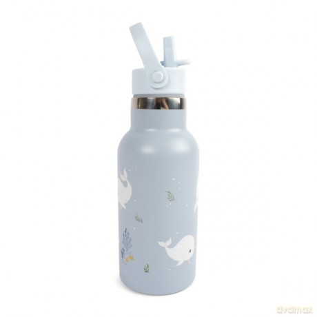 Filibabba - Stainless Steel Water Bottle - Blue - 350ml