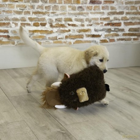 Kong - Comfort Jumbo Highland Cow XL Mix - 37x20.5x15.5 cm