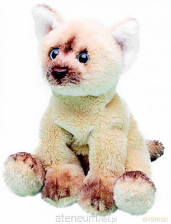Siedzący Kot Ragdoll 13cm SUKI