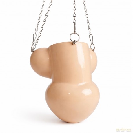 Willy Planter