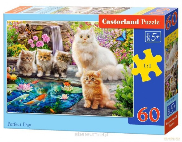 CASTORLAND 60 el. Perfect Day [PUZZLE]