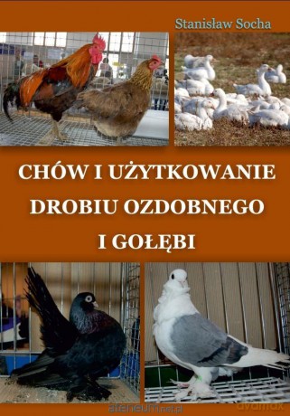 Chów i użytkowanie drobiu ozdobnego i gołębi - Stanisław Socha [KSIĄŻKA]