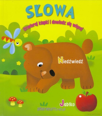 Słowa. Otwieraj klapki i dowiedz się więcej [KSIĄŻKA]
