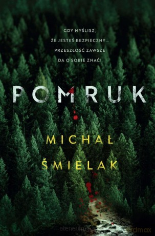 Pomruk - Michał Śmielak [KSIĄŻKA]