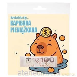 Prezentownik Kapibara pieniążkara