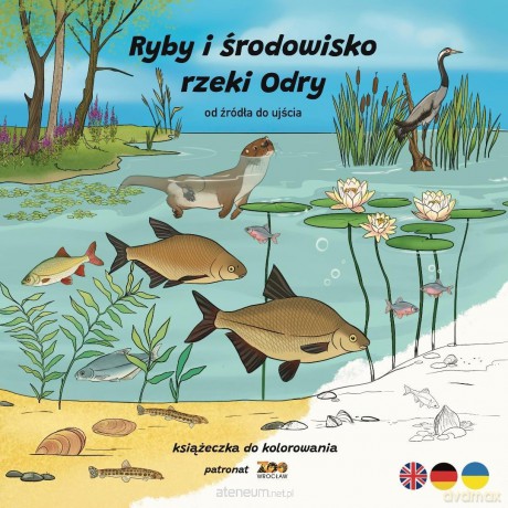 Ryby i środowisko rzeki Odry. Od źródła do ujścia - Ksenia Potępa [KSIĄŻKA]