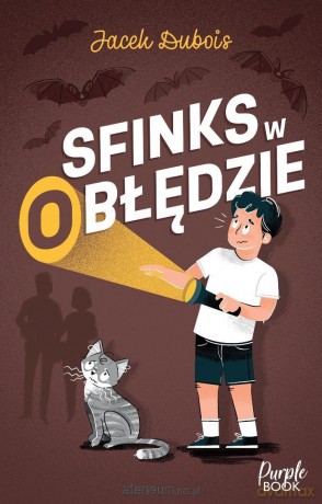 Sfinks w (o)błędzie - Jacek Dubois [KSIĄŻKA]