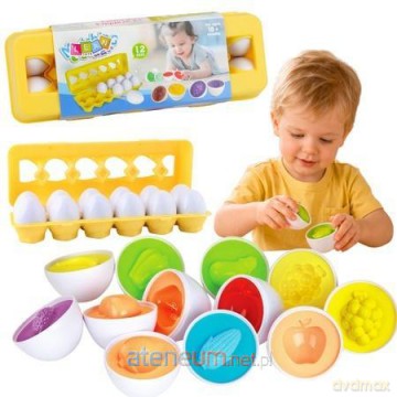 Sorter edukacyjny jajka