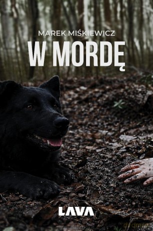 W mordę - Marek Miśkiewicz [KSIĄŻKA]