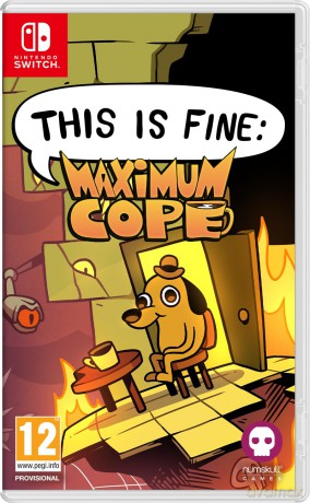 NSW This Is Fine: Maximum Cope