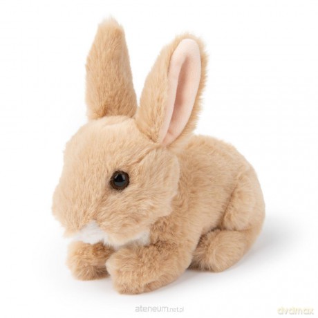 Królik 15cm WWF
