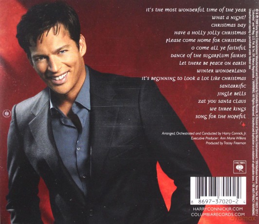 Harry Connick Jr.: What A Night! A Christmas Album [CD]