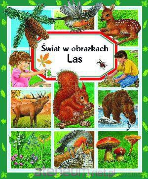 Świat w obrazkach - Las BR [KSIĄŻKA]