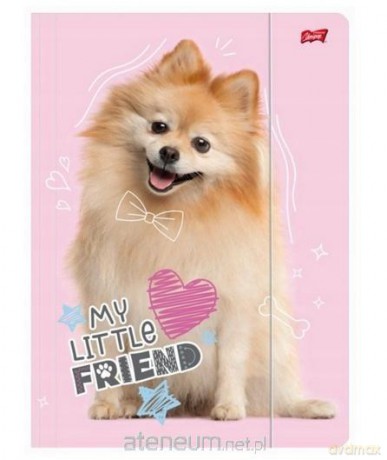 Teczka z gumką A4 My Little Friend Dog