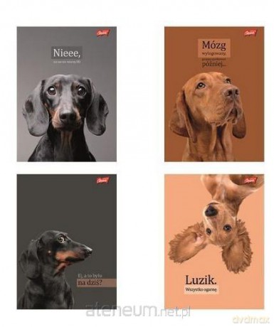 Zeszyt A4/60k kratka Doggy Moods (10szt)