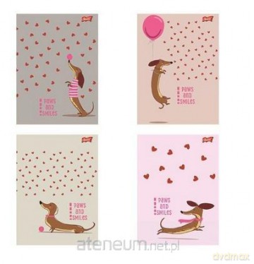 Zeszyt A5/32k kratka Dachshund (15szt)