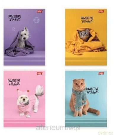 Zeszyt A5/32k kratka Pawsitive (15szt)