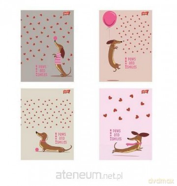 Zeszyt A5/32k linia kolorowa Dachshund (15szt)