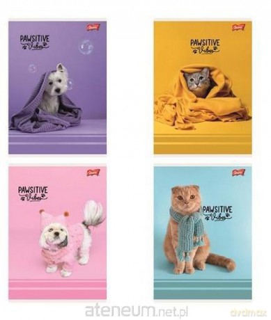 Zeszyt A5/32k linia kolorowa Pawsitive (15szt)