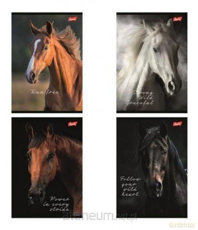 Zeszyt A5/60k kratka Wild Heart (10szt)