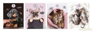Zeszyt A5/80k kratka The Sweet Pets (5szt)