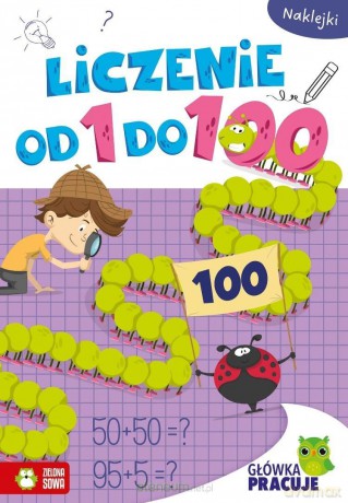 Główka pracuje. Liczenie od 1 do 100 [KSIĄŻKA]