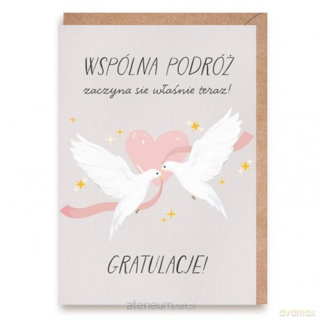 Kartka ślubna Gołębie, eko koperta