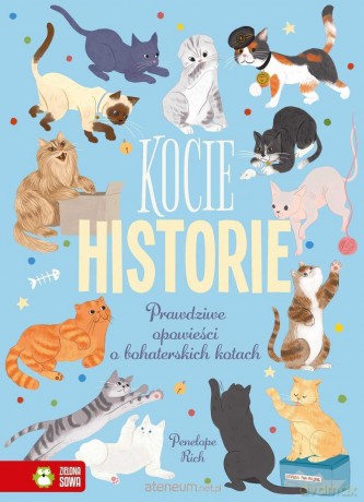 Kocie historie - Penelope Rich, Isabel Munoz [KSIĄŻKA]