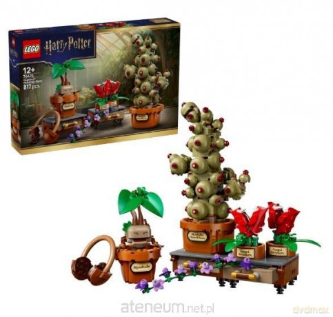LEGO HARRY POTTER Hogwarts Herbology Plants (76474) [KLOCKI]