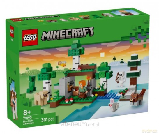 LEGO MINECRAFT First Night Adventure (21593) [KLOCKI]