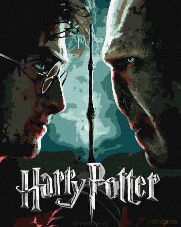 Malowanie po numerach - Harry i Voldemort metal