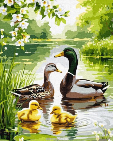 Malowanie po numerach - Kacza rodzina 40x50 cm
