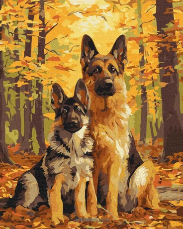 Malowanie po numerach - Leśni przyjaciele 40x50 cm