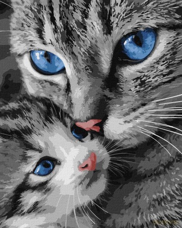 Malowanie po numerach - Mrucząca mama 40x50 cm