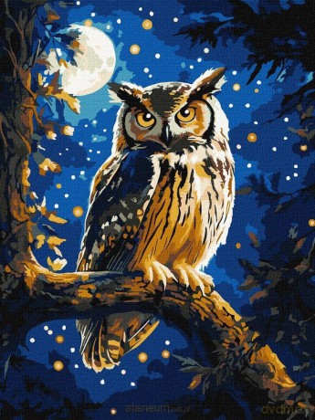 Malowanie po numerach - Nocna Sowa metal 30x40 cm