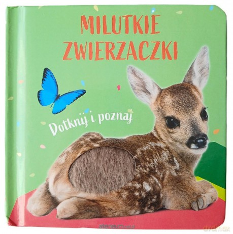 Milutkie zwierzaczki. Dotknij i poznaj. Sarenka [KSIĄŻKA]