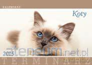 Koty KA01 MAT [KALENDARZ]