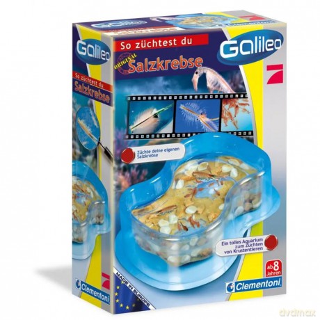 Clementoni Galileo - oryginalne krewetki solankowe