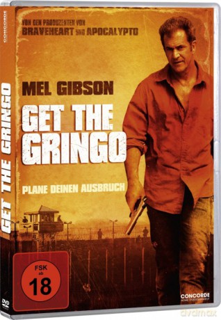 Get the Gringo [DVD]