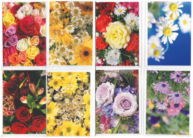 Glückwunschkarten Blumen - 100 Stück - 8 Motive