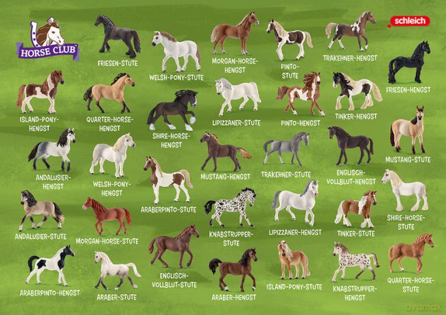 Schleich Horse Club Pferdepaare Kartenspiel (Klub Jeździecki Pary koni gra karciana)