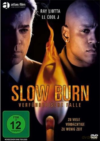 Slow Burn Verführerische Falle [DVD]