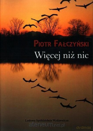 Więcej niż nic [KSIĄŻKA]