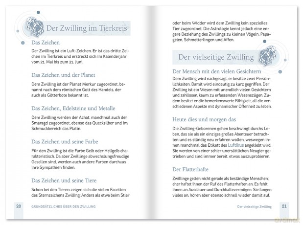 Zwillinge - Buch