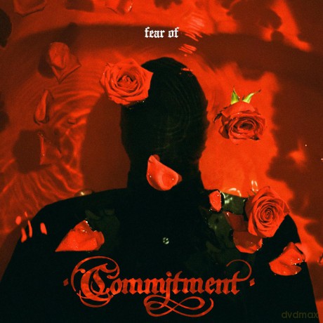 Commitment: Fear Of [Winyl]