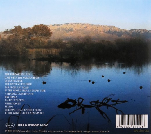 Handsome Family: Singing Bones [CD]