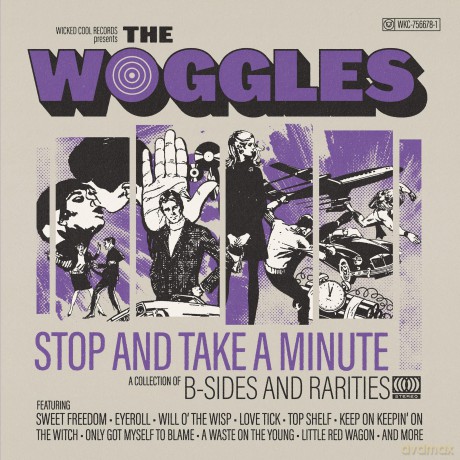 Woggles: Stop And Take A Minute [Winyl]